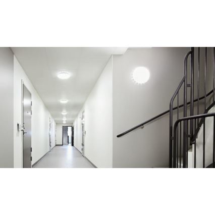 Steinel 068042 - Iluminação de teto LED com sensor RS PRO S30 SC 25,8W/230V 4000K