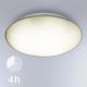 Steinel 068196 - Iluminação de teto de casa de banho LED com sensor DL Vario Quattro PRO S LED/14W/230V 4000K IP54