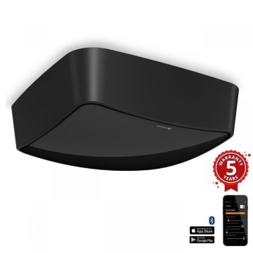 Steinel 068493 - Detetor de presença TRUE PRESENCE COM1 IP54 preto