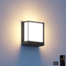 Steinel 085230 - LED Iluminação de parede exterior com regulação L40C LED/12,9W/230V IP54 antracite