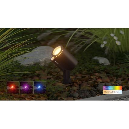 Steinel 089344 - Lâmpada exterior LED RGBW com sensor LED/7,9W/24V IP65