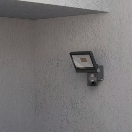 Steinel 092603 - Refletor LED com sensor e câmara LED/21W/230V IP44