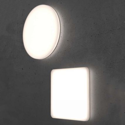 Steinel 067816 - Iluminação de teto LED com regulação e sensor RS PRO R10 BASIC SC LED/8,5W/230V 3000K IP40