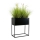 Suporte para plantas 50x44 cm preto
