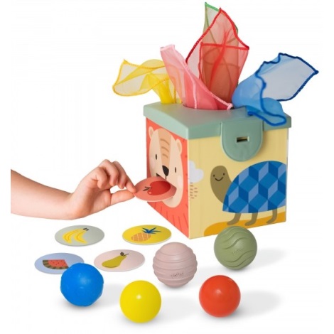 Taf Toys - Caixa de jogo interativa MAGIC BOX