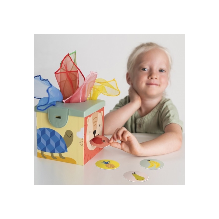 Taf Toys - Caixa de jogo interativa MAGIC BOX
