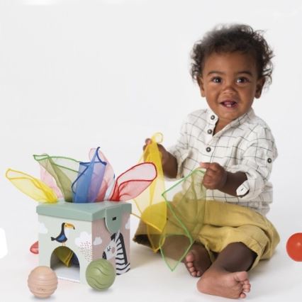 Taf Toys - Caixa de jogo interativa MAGIC BOX