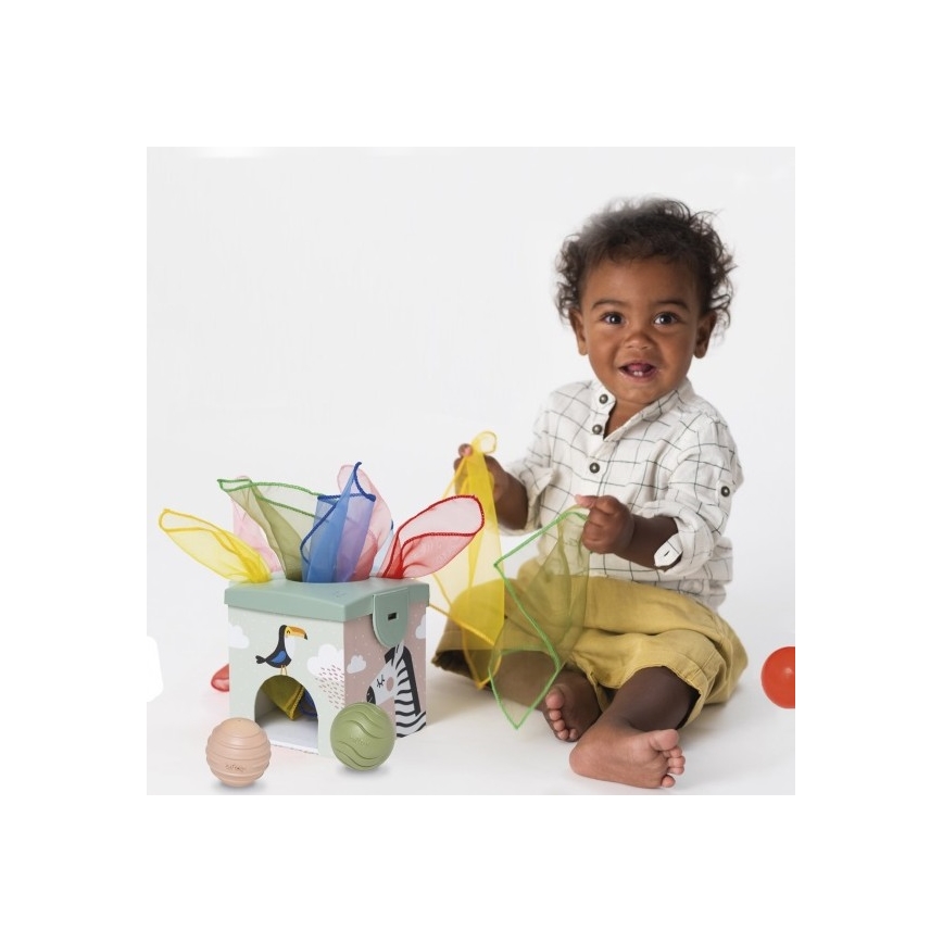 Taf Toys - Caixa de jogo interativa MAGIC BOX