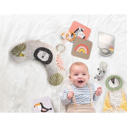 Taf Toys - Caixa de presente HELLO BABY