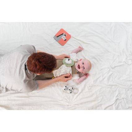 Taf Toys - Caixa de presente HELLO BABY