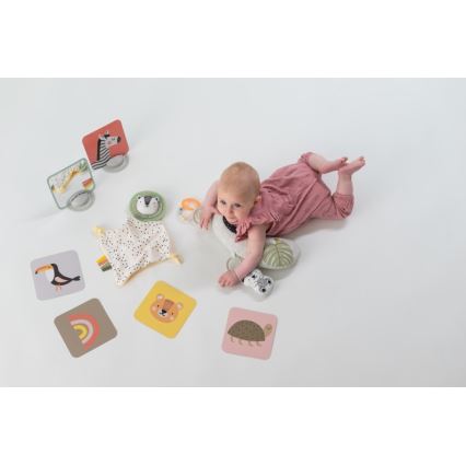 Taf Toys - Caixa de presente HELLO BABY