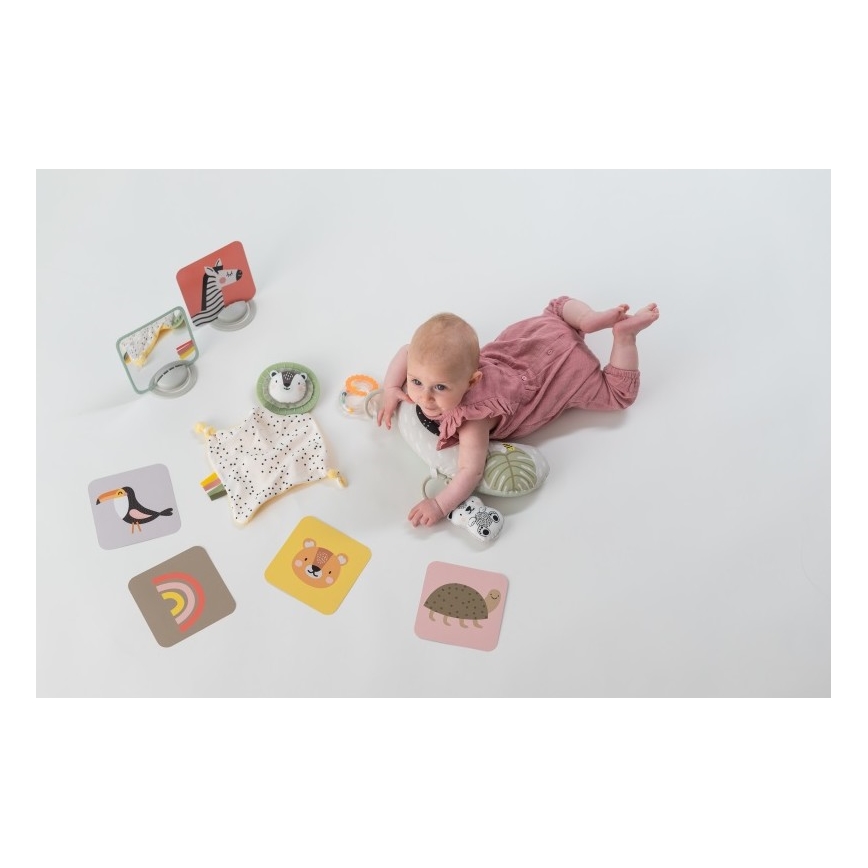 Taf Toys - Caixa de presente HELLO BABY