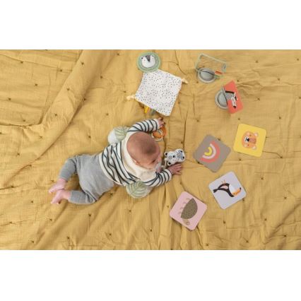 Taf Toys - Caixa de presente HELLO BABY