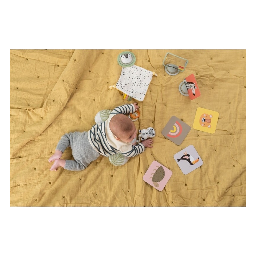 Taf Toys - Caixa de presente HELLO BABY