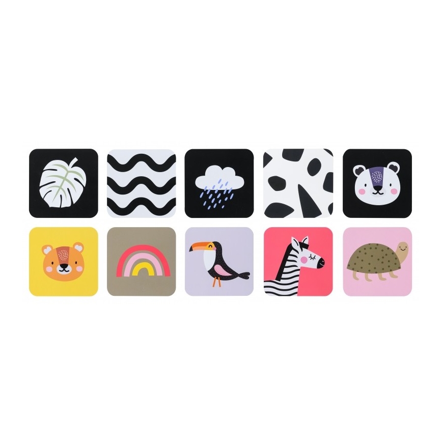 Taf Toys - Caixa de presente HELLO BABY