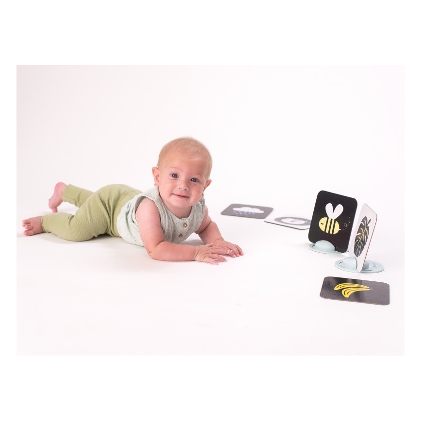 Taf Toys - Cartões para bebé de barriga para baixo 18 pçs