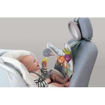 Taf Toys - Centro de brincadeira de automóvel Jardim