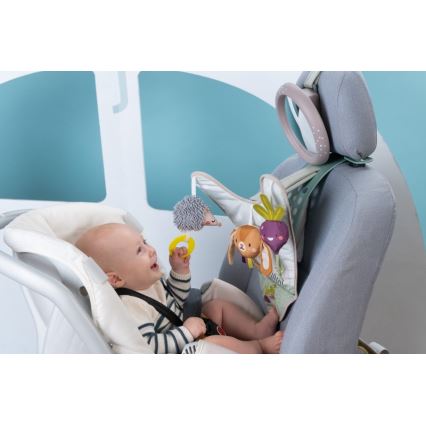 Taf Toys - Centro de brincadeira de automóvel Jardim