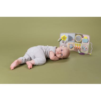 Taf Toys - Centro de brincadeira de berço com uma melodia Jardim 3xAAA