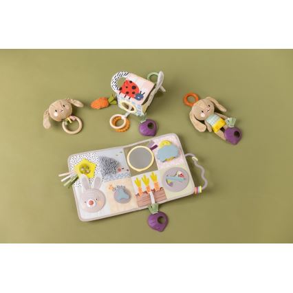 Taf Toys - Centro de brincadeira de berço com uma melodia Jardim 3xAAA