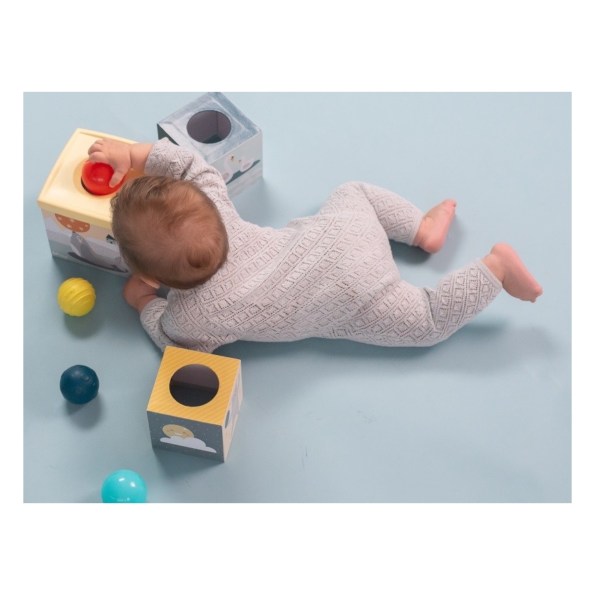 Taf Toys - Conjunto para brincar interativo Pólo Norte