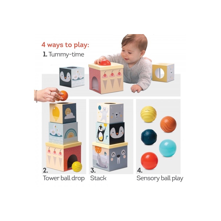 Taf Toys - Conjunto para brincar interativo Pólo Norte