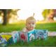 Taf Toys - Livro têxtil para crianças 3em1 coala