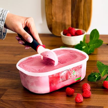 Tefal - Concha para gelado INGENIO
