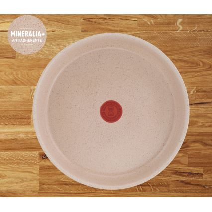 Tefal - Conjunto de 3 frigideiras INGENIO DELIGHT