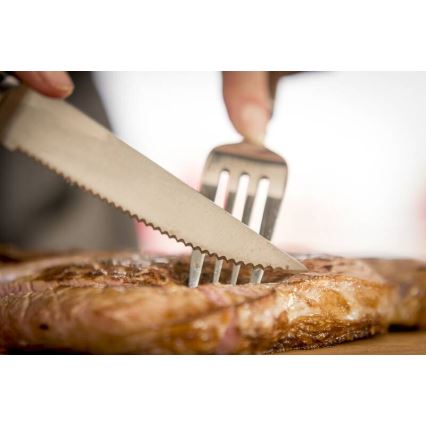 Tefal - Conjunto de 4 facas para bife ICE FORCE, 11 cm, aço inoxidável, cromado brilhante/preto