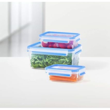 Tefal - Conjunto de 5 recipientes alimentares MASTER SEAL FRESH, azul