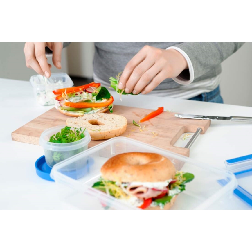 Tefal - Conjunto de 5 recipientes alimentares MASTER SEAL FRESH, azul