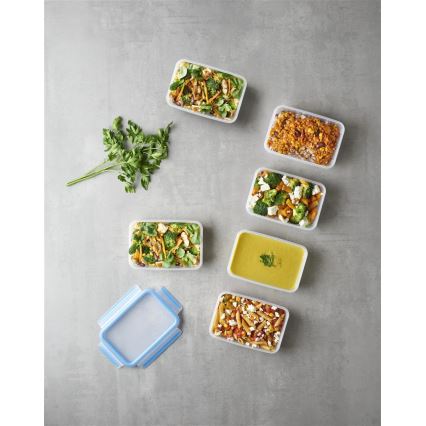 Tefal - Conjunto de 6 recipientes para alimentos 0,8 l MASTER SEAL FRESH azul