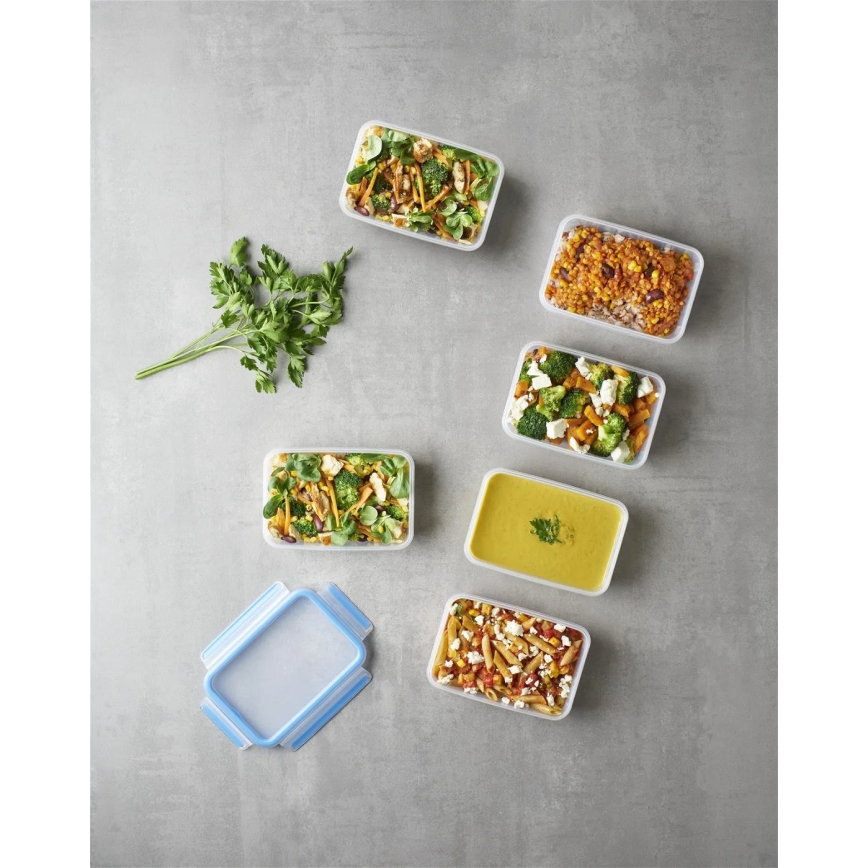 Tefal - Conjunto de 6 recipientes para alimentos 0,8 l MASTER SEAL FRESH azul