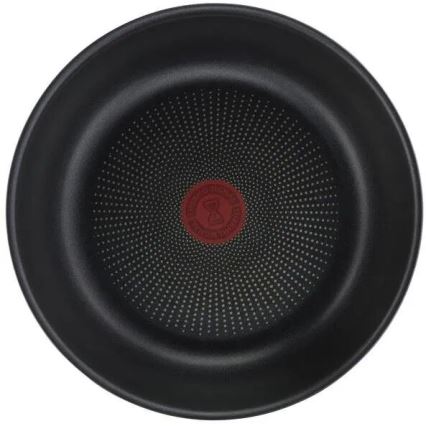 Tefal - Conjunto de panelas 10 peças INGENIO DAILY CHEF, acabamento em cobre