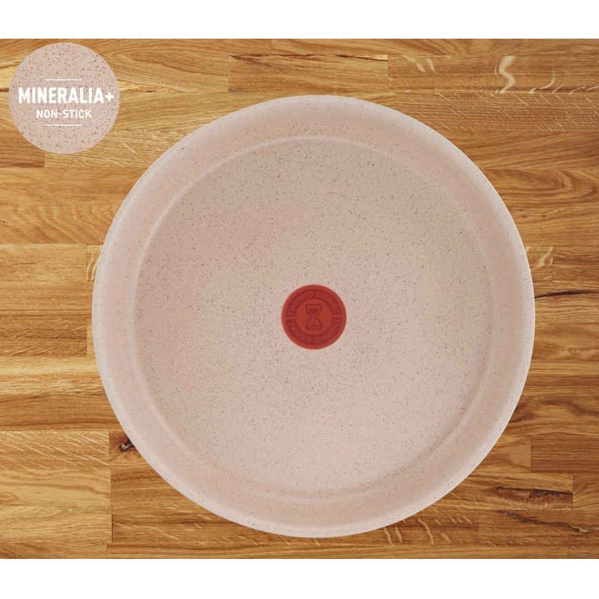 Tefal - Conjunto de panelas 6 peças INGENIO DELIGHT