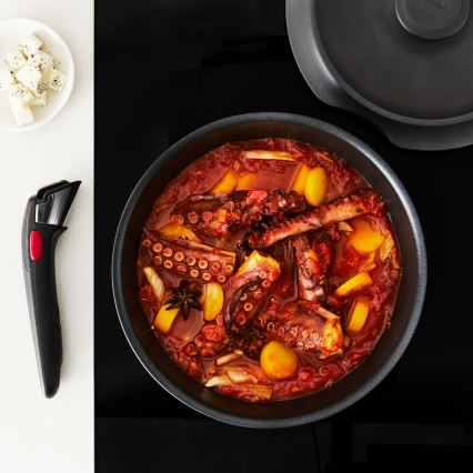 Tefal - Conjunto de panelas 6 peças INGENIO INSPIRATION