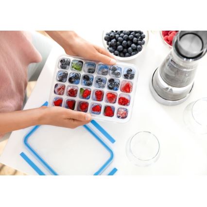 Tefal - Forma de cubo de gelo 24 cubos MASTER SEAL azul