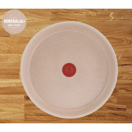 Tefal - Jogo de panelas 6 peças INGENIO DELIGHT