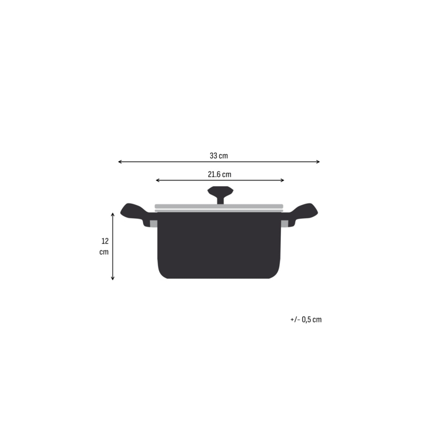 Tefal - Panela com tampa EXTREME 20 cm