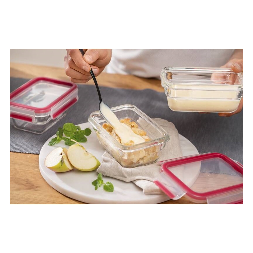 Tefal - Recipiente para alimentos 0,45 l MSEAL GLASS vermelho/vidro