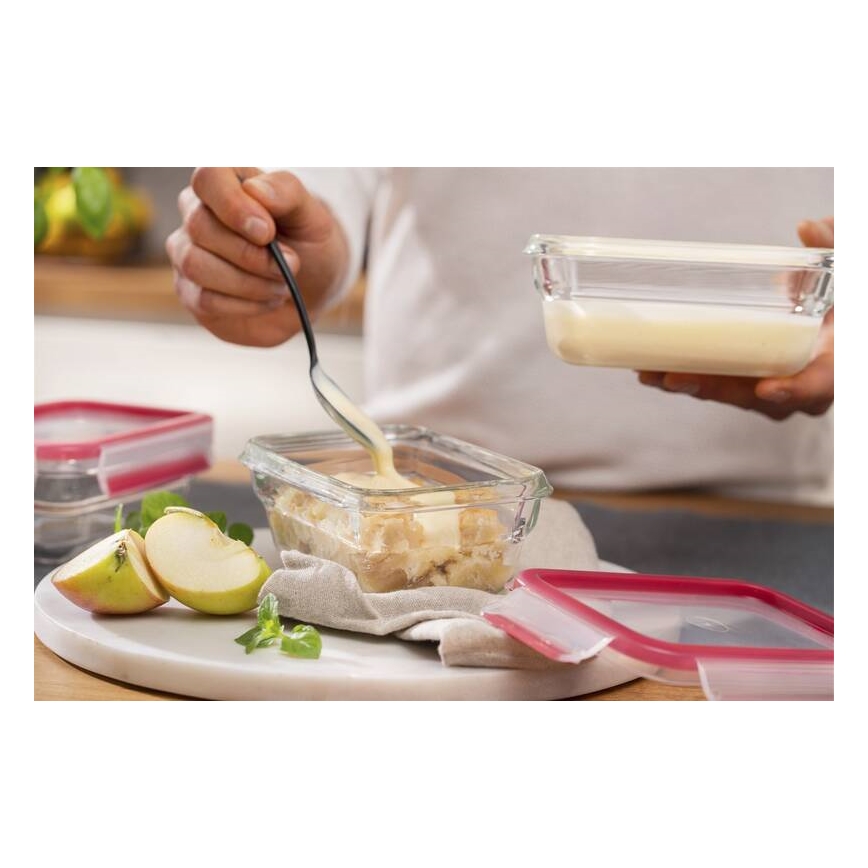 Tefal - Recipiente para alimentos 0,45 l MSEAL GLASS vermelho/vidro