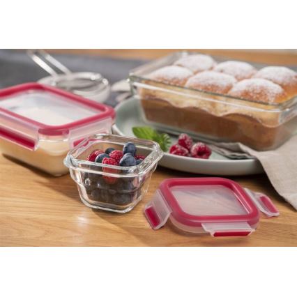 Tefal - Recipiente para alimentos 0,45 l MSEAL GLASS vermelho/vidro
