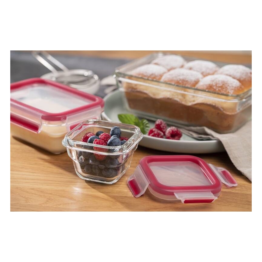 Tefal - Recipiente para alimentos 0,45 l MSEAL GLASS vermelho/vidro