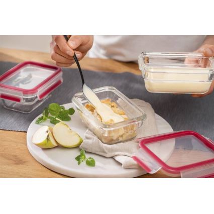 Tefal - Recipiente para alimentos 1,1 l MSEAL GLASS vermelho/vidro