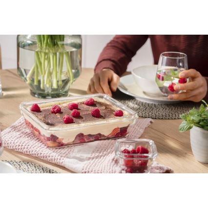 Tefal - Recipiente para alimentos 3 l MSEAL GLASS vermelho/copo