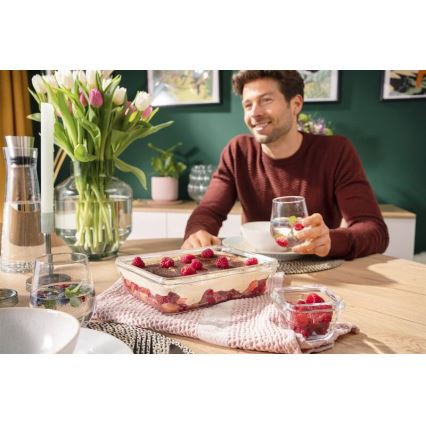 Tefal - Recipiente para alimentos 3 l MSEAL GLASS vermelho/copo