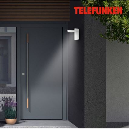 Telefunken 312406TF - Iluminação de parede exterior LED LED/10W/230V IP44