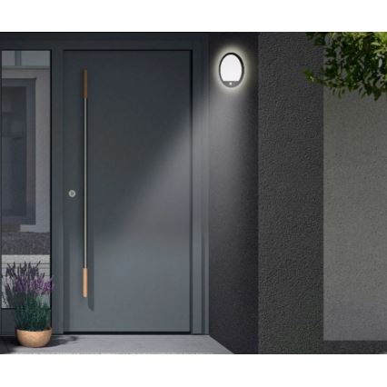 Telefunken 313705TF - Iluminação de parede exterior LED com sensor LED/15W/230V IP44