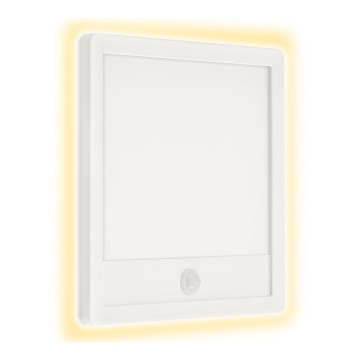 Telefunken 313806TF - Luminária de parede LED para exterior com sensor LED/15W/230V IP44
